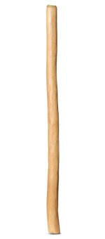 Medium Size Natural Finish Didgeridoo (TW864)